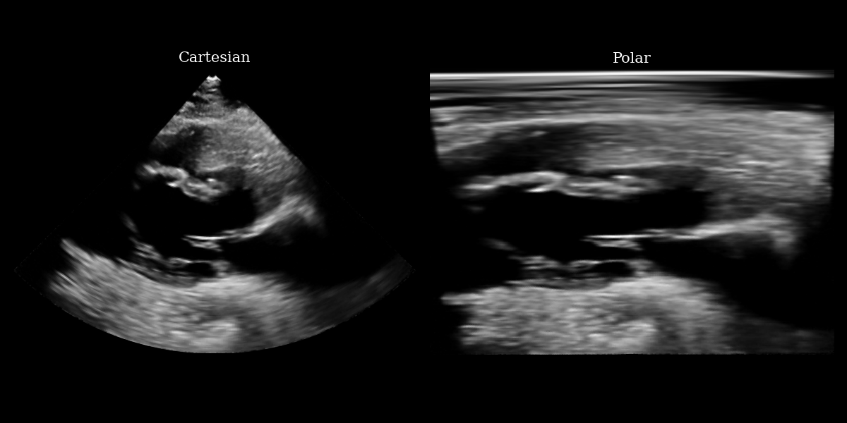 Cartesian Polar input
